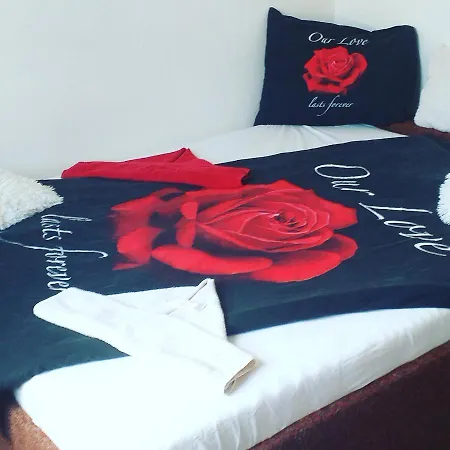 Nicol Guest house